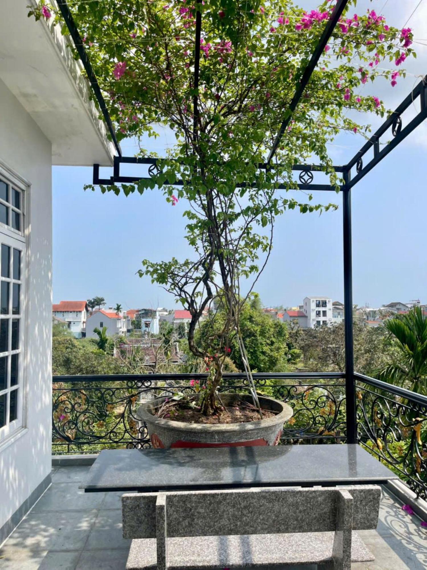 Nhat Long Homestay Hue Eksteriør bilde